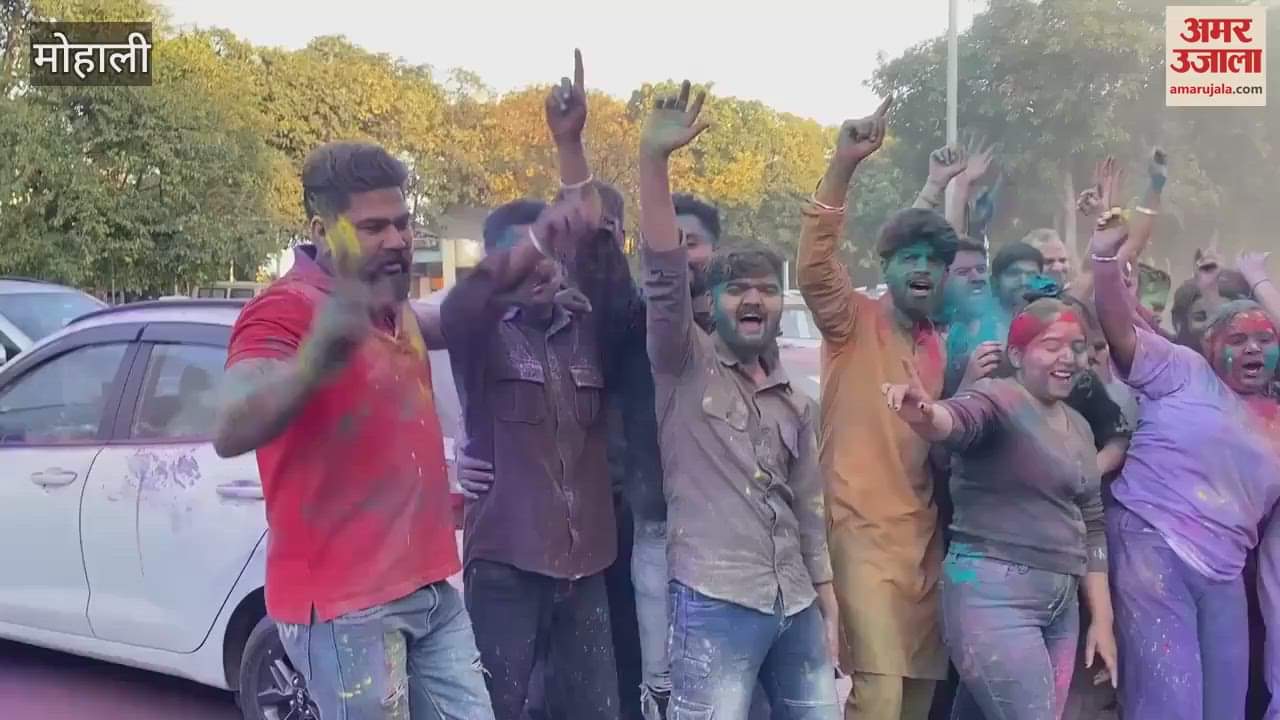 VIDEO : मोहाली में जमकर उड़ा गुलाल, युवाओं ने खेली होली