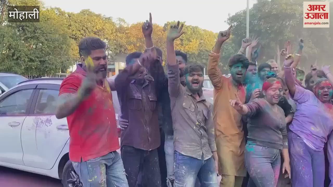 VIDEO : मोहाली में जमकर उड़ा गुलाल, युवाओं ने खेली होली