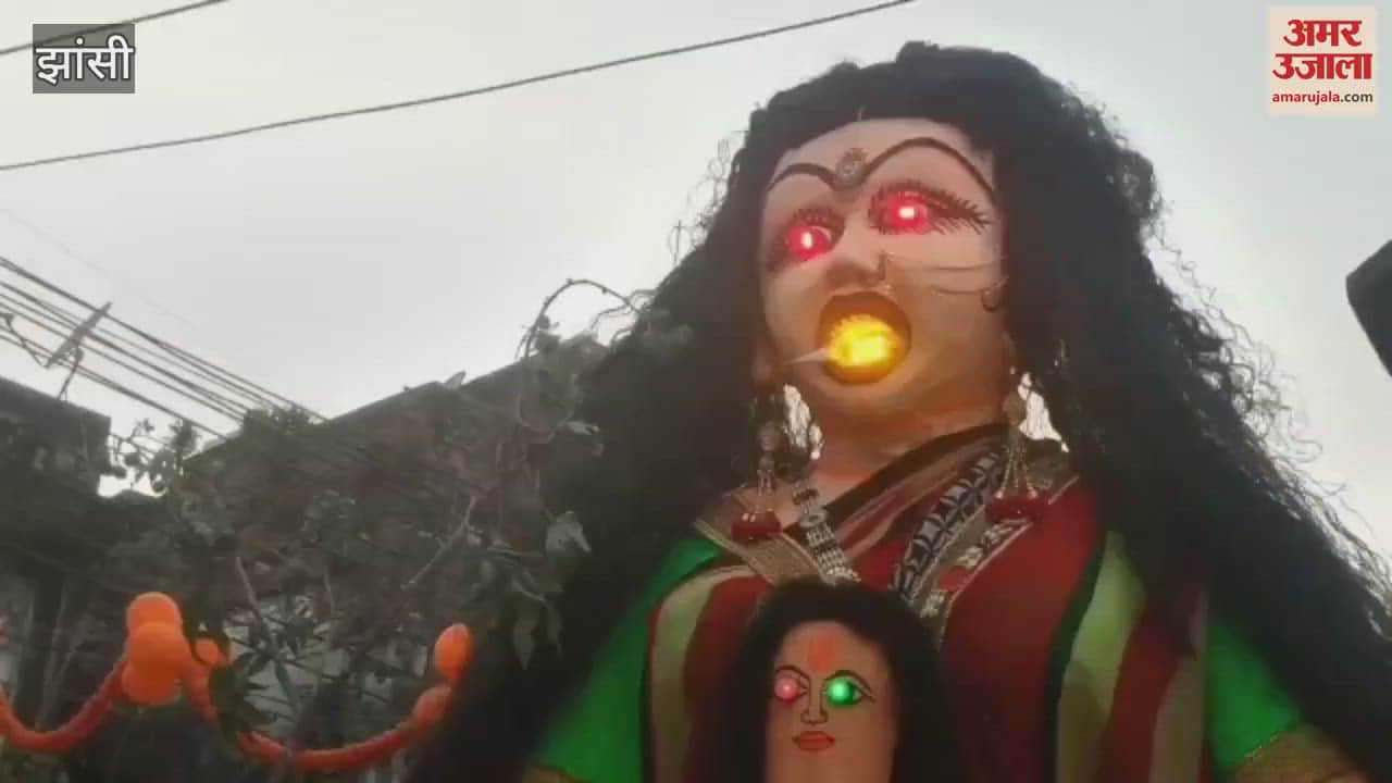 VIDEO : Passersby were stunned to hear Holika's scream near Narayan Dharamshala