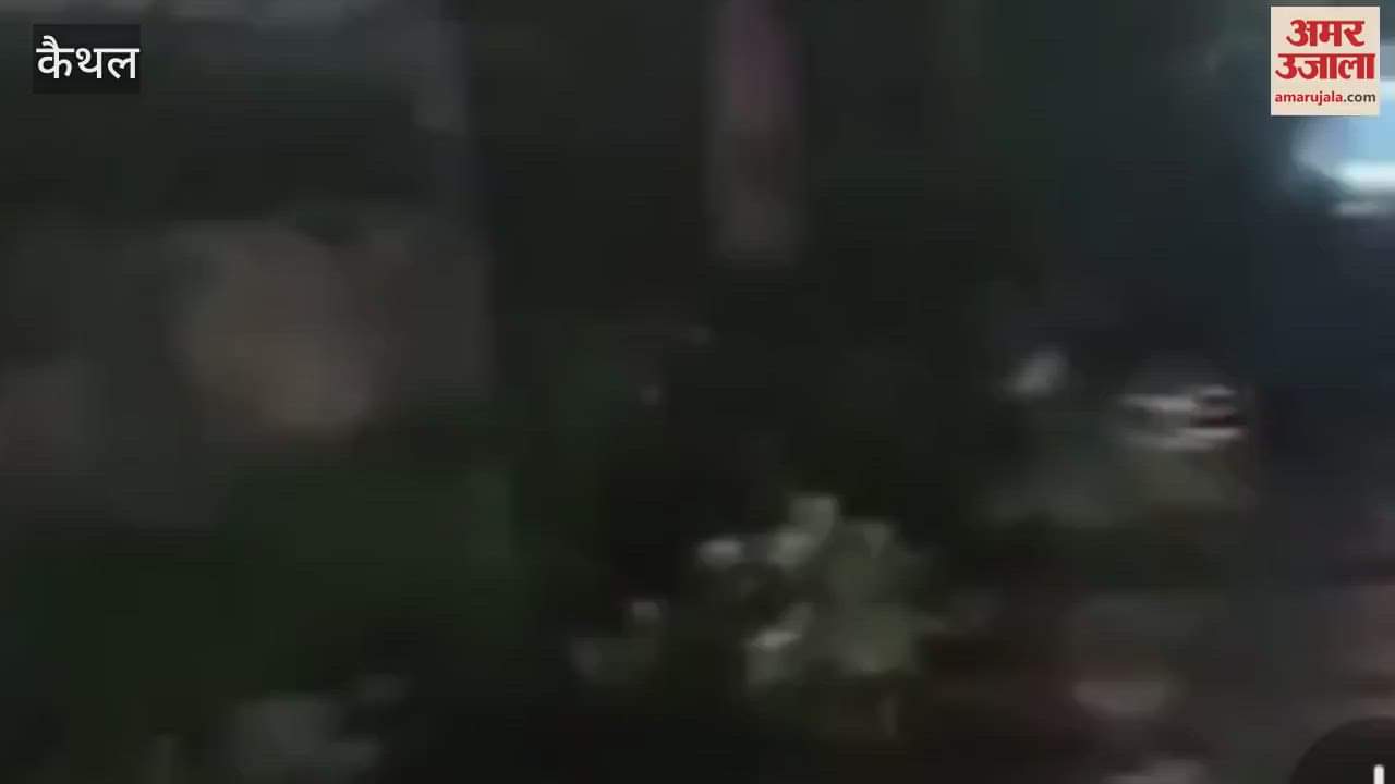 VIDEO : Encounter between police and gangster in Kaithal's Rajound, gangster Hazel killed