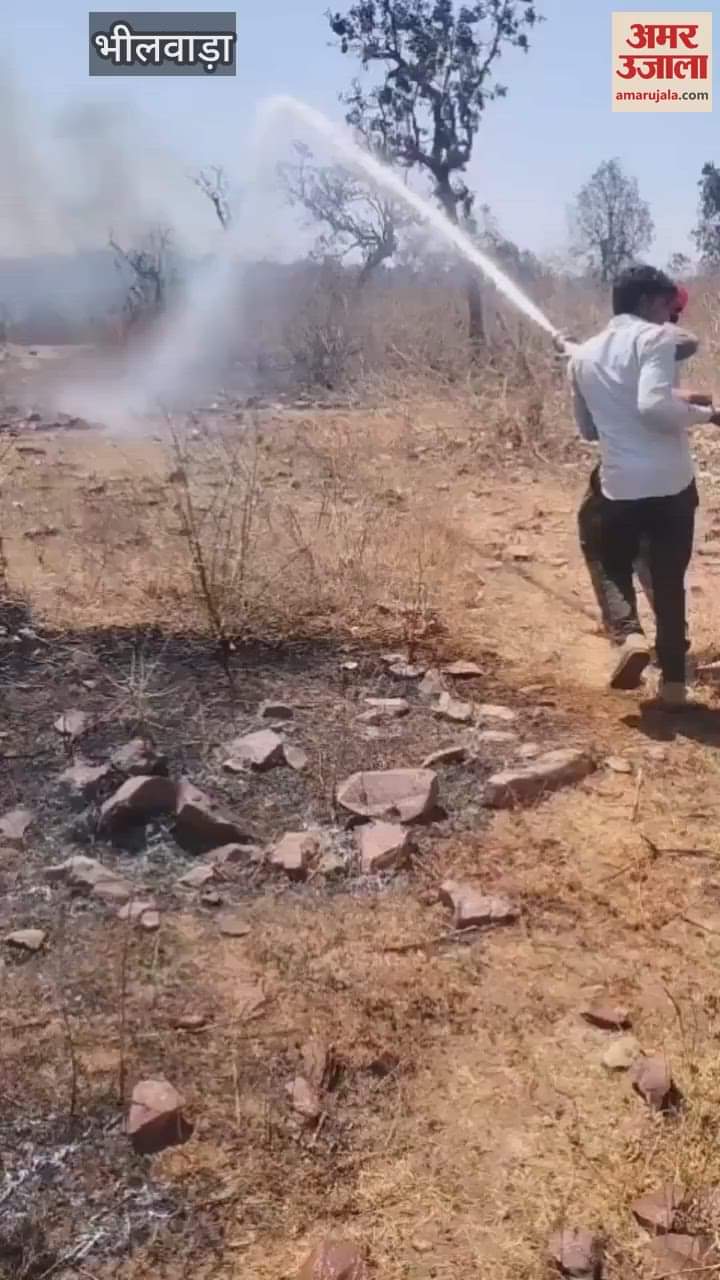 Bhilwara News Fire broke out on border of two states causing huge loss to forest wealth and wildlife