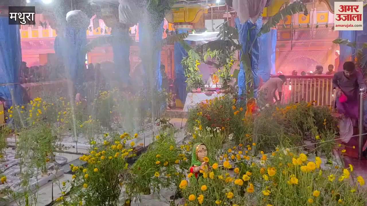 VIDEO : Holi started in Dwarkadhish temple