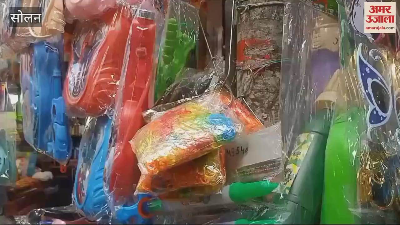 VIDEO : Solan market is full of colours on Holi new varieties are also available