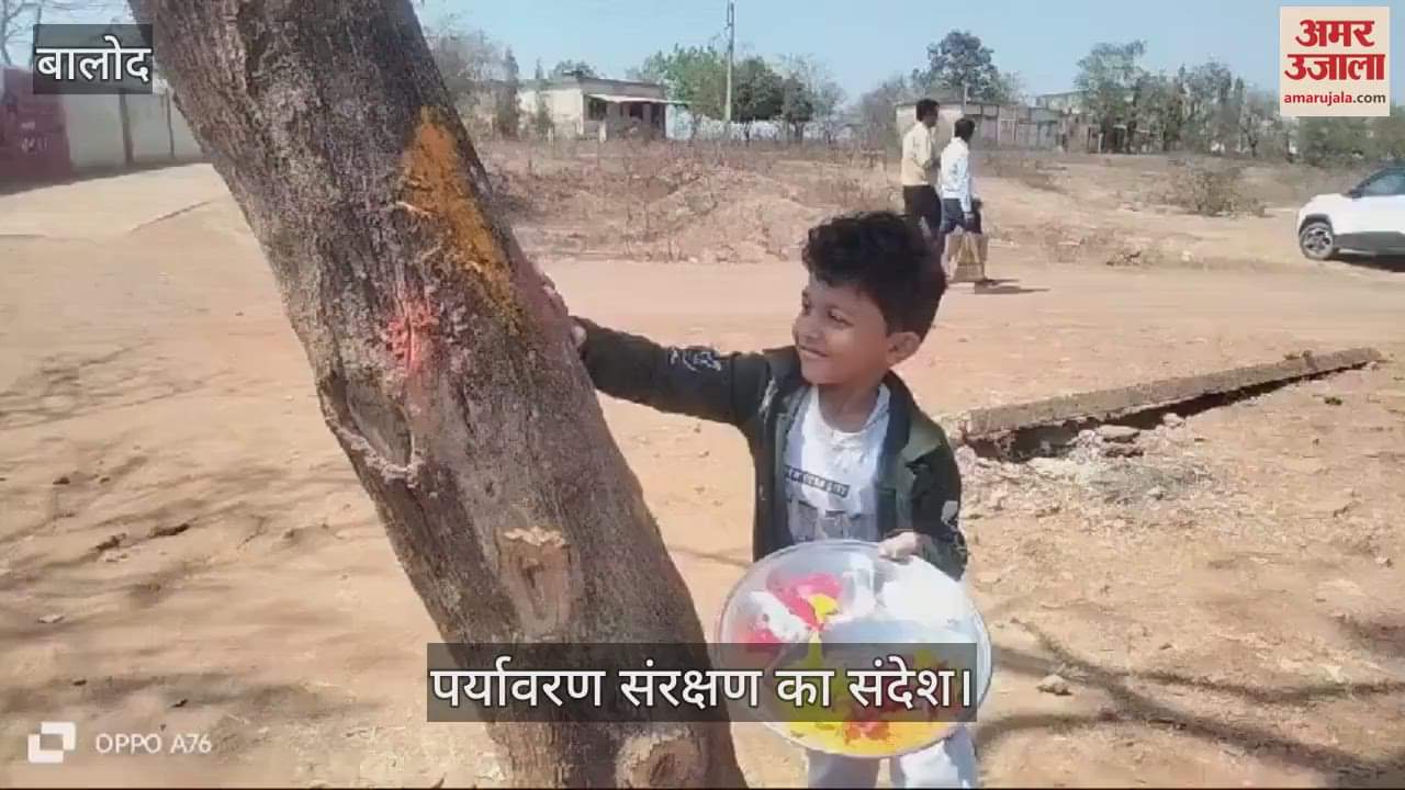 VIDEO : Bhoj Sahu gave the message of environmental protection by painting trees in Balod