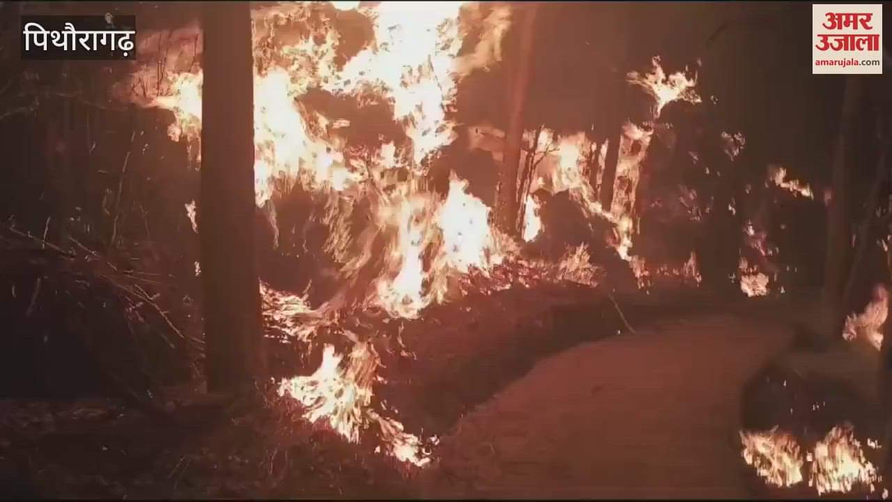 VIDEO : लुट्टों में लगी आग, फायर ब्रिगेड ने बुझाई