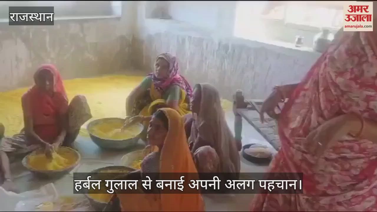 Holi Celebration Women in Salumbhar have created different identity with herbal gulaal coconut Holi celebrated