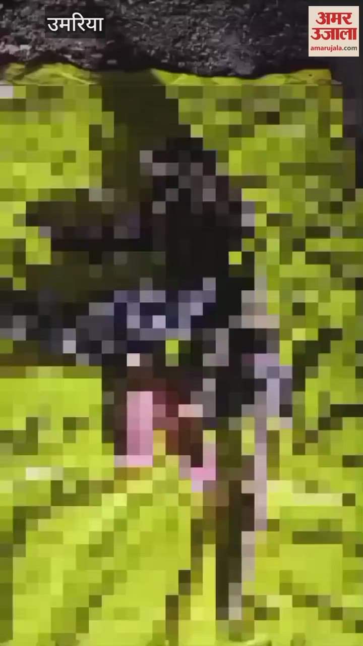 A dead body was found near Sukhnara bridge, sensation spread in the area