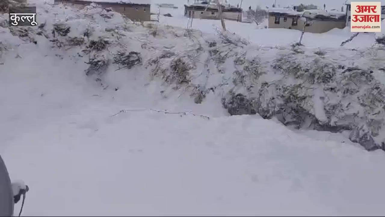 VIDEO : Snowfall in Lahaul heavy rain in Kullu