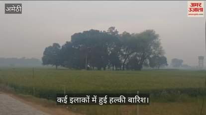 VIDEO : Amethi: होली के बाद अचानक मौसम ने ली करवट , गेहूं की फसल को होगा फायदा, चना मटर को होगा नुकसान