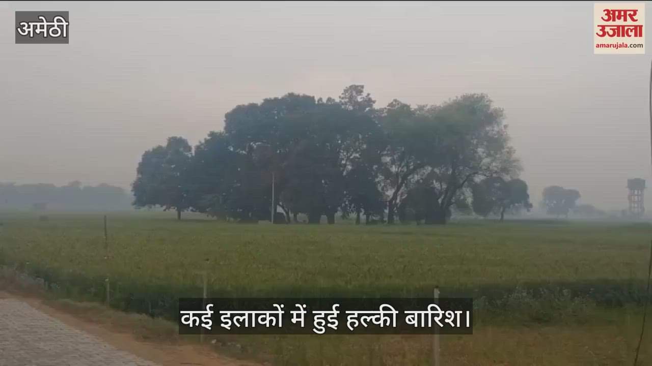 VIDEO : Amethi: होली के बाद अचानक मौसम ने ली करवट , गेहूं की फसल को होगा फायदा, चना मटर को होगा नुकसान
