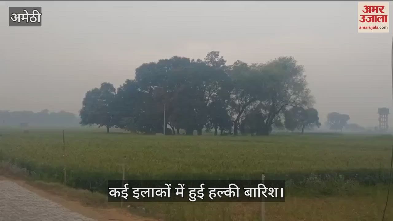 VIDEO : Amethi: होली के बाद अचानक मौसम ने ली करवट , गेहूं की फसल को होगा फायदा, चना मटर को होगा नुकसान