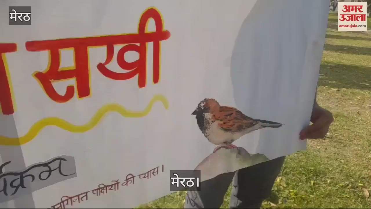 VIDEO : Environment Club and Senior Citizen Welfare Committee launched awareness campaign for bird and sparrow conservation