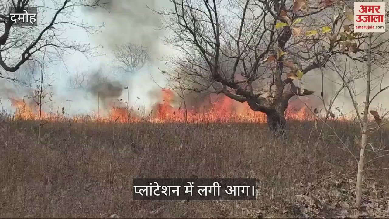 A huge fire broke out in Bhatariya Plantation