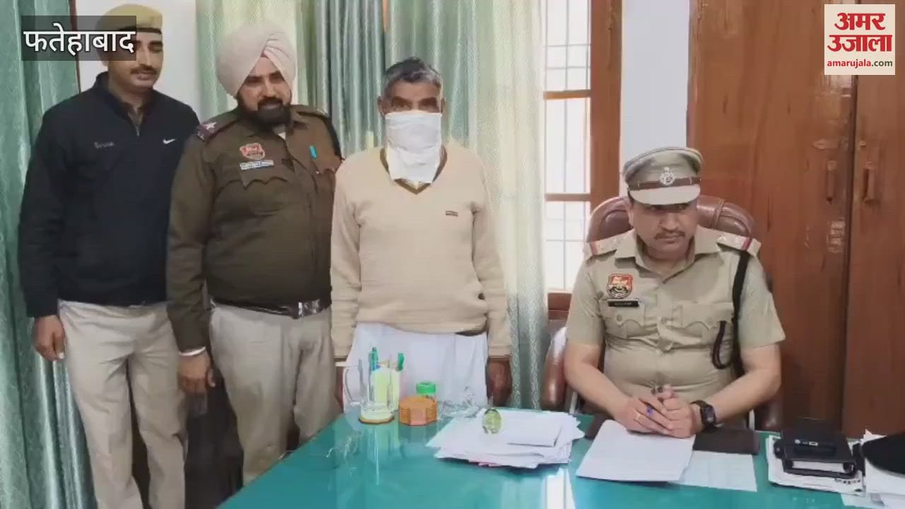VIDEO : Panch had cultivated opium in a plot in Fatehabad, 182 plants were recovered