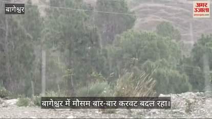VIDEO : Light rain in Bageshwar Hailstorm causes crop damage in Kafligair
