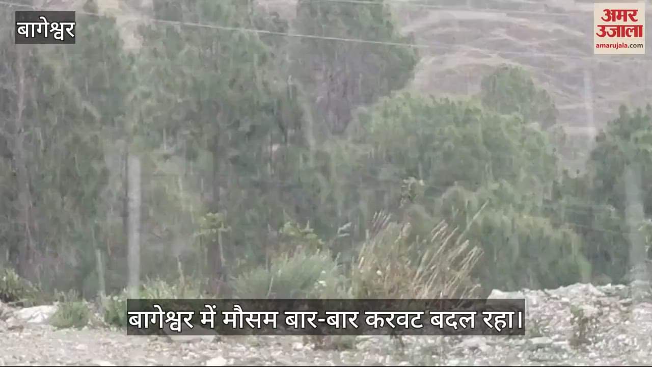 VIDEO : Light rain in Bageshwar Hailstorm causes crop damage in Kafligair