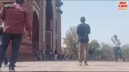 VIDEO : Bees attack Taj Mahal tourists seen running away