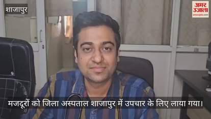 Shajapur News: Bees attack workers harvesting wheat, many injured