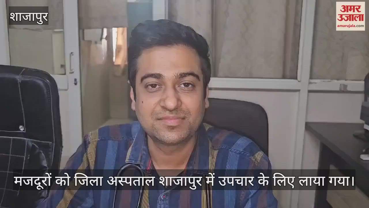 Shajapur News: Bees attack workers harvesting wheat, many injured