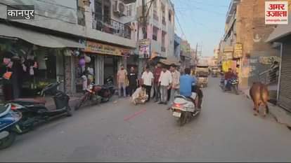 VIDEO : BJP workers burst firecrackers and distributed sweets on Anurag Awasthi being made District President