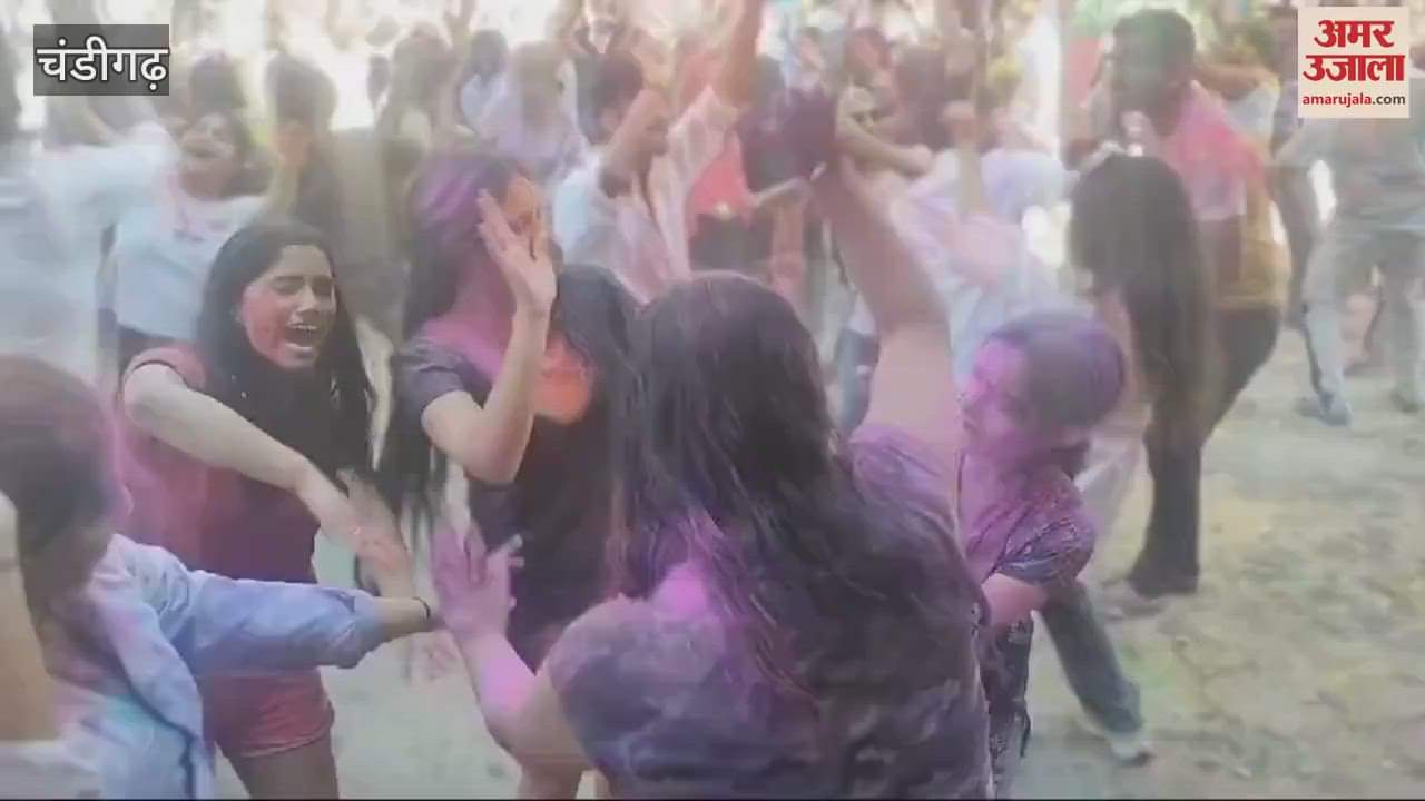 VIDEO : Doctors played Holi in Chandigarh PGI hostel