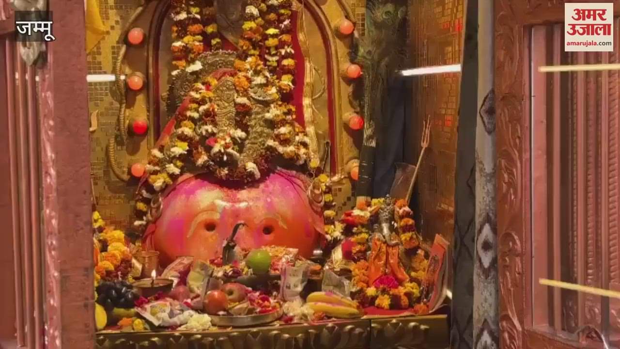 VIDEO : Bharev Mandir Chowk platform painted in the colors of Holi, every perimeter decorated with rain of flowers