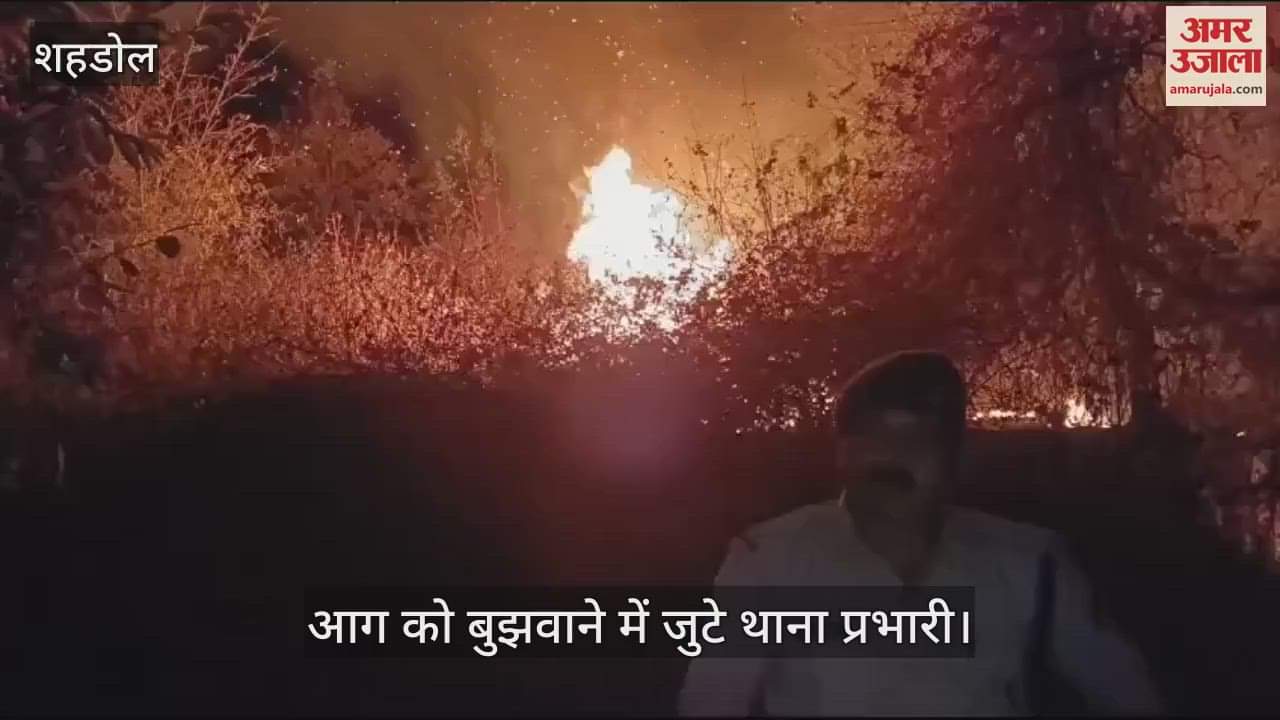 The police extinguished the fire in the bushes before it reached the settlement