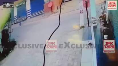 VIDEO : CCTV footage reveals shocking truth in Chandigarh's female constable Sapna murder Watch