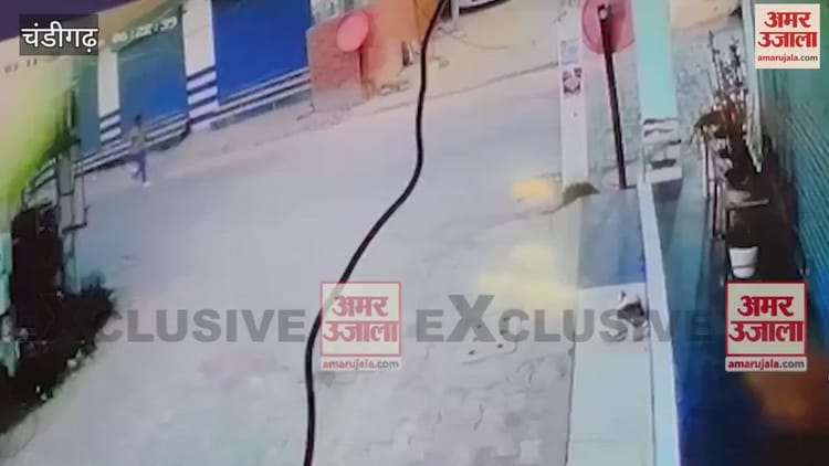 Video : Cctv Footage Reveals Shocking Truth In Chandigarh’s Female Constable Sapna Murder Watch – Amar Ujala Hindi News Live