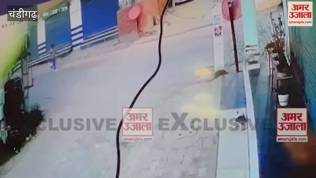 VIDEO : CCTV footage reveals shocking truth in Chandigarh's female constable Sapna murder Watch