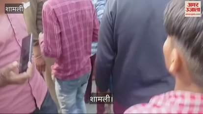 VIDEO : Remains of a protected animal found in a field in Shamli, Hindu organizations blocked the road