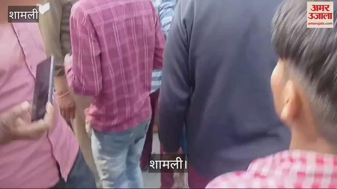 VIDEO : Remains of a protected animal found in a field in Shamli, Hindu organizations blocked the road
