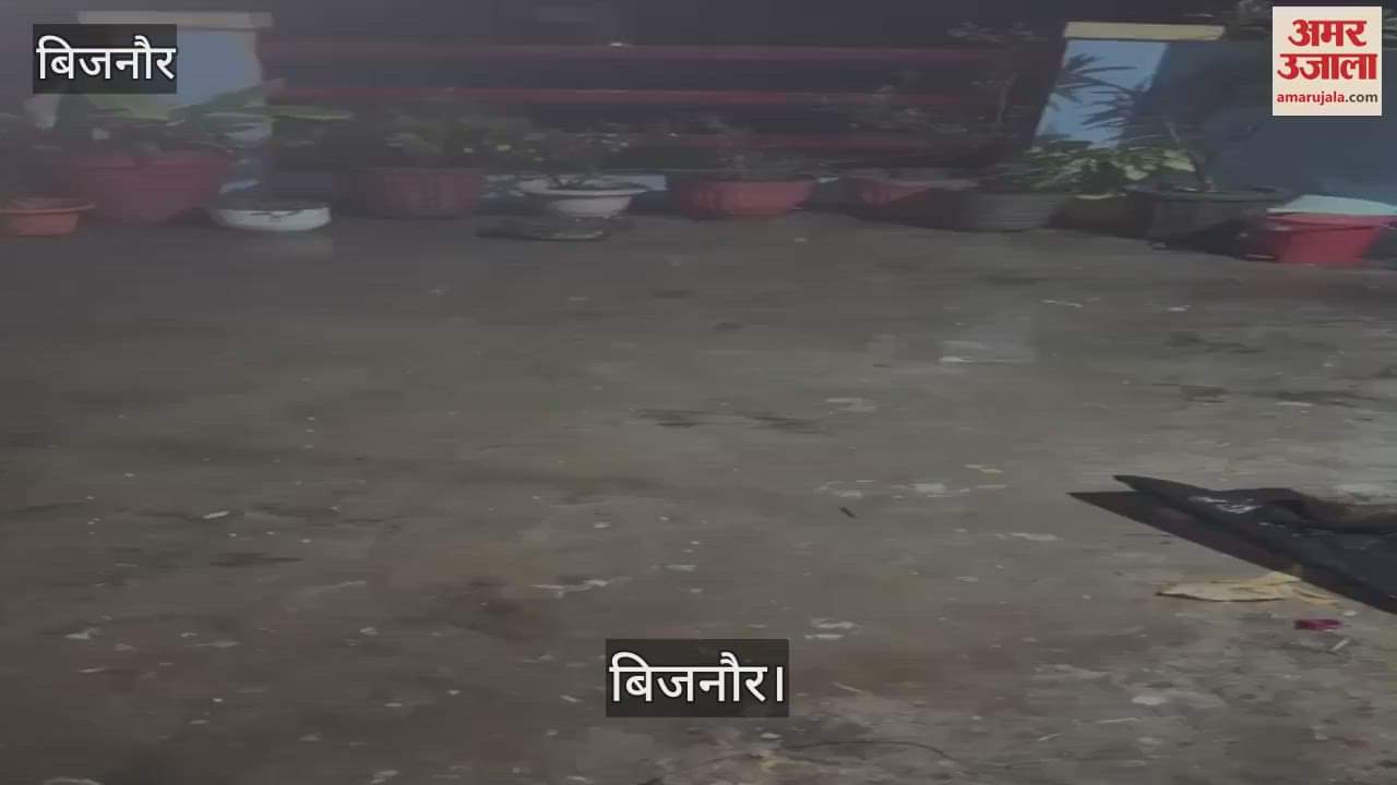 VIDEO : Heavy rain and hailstorm in Raja Ka Tajpur in Bijnor caused damage to wheat and mustard crops