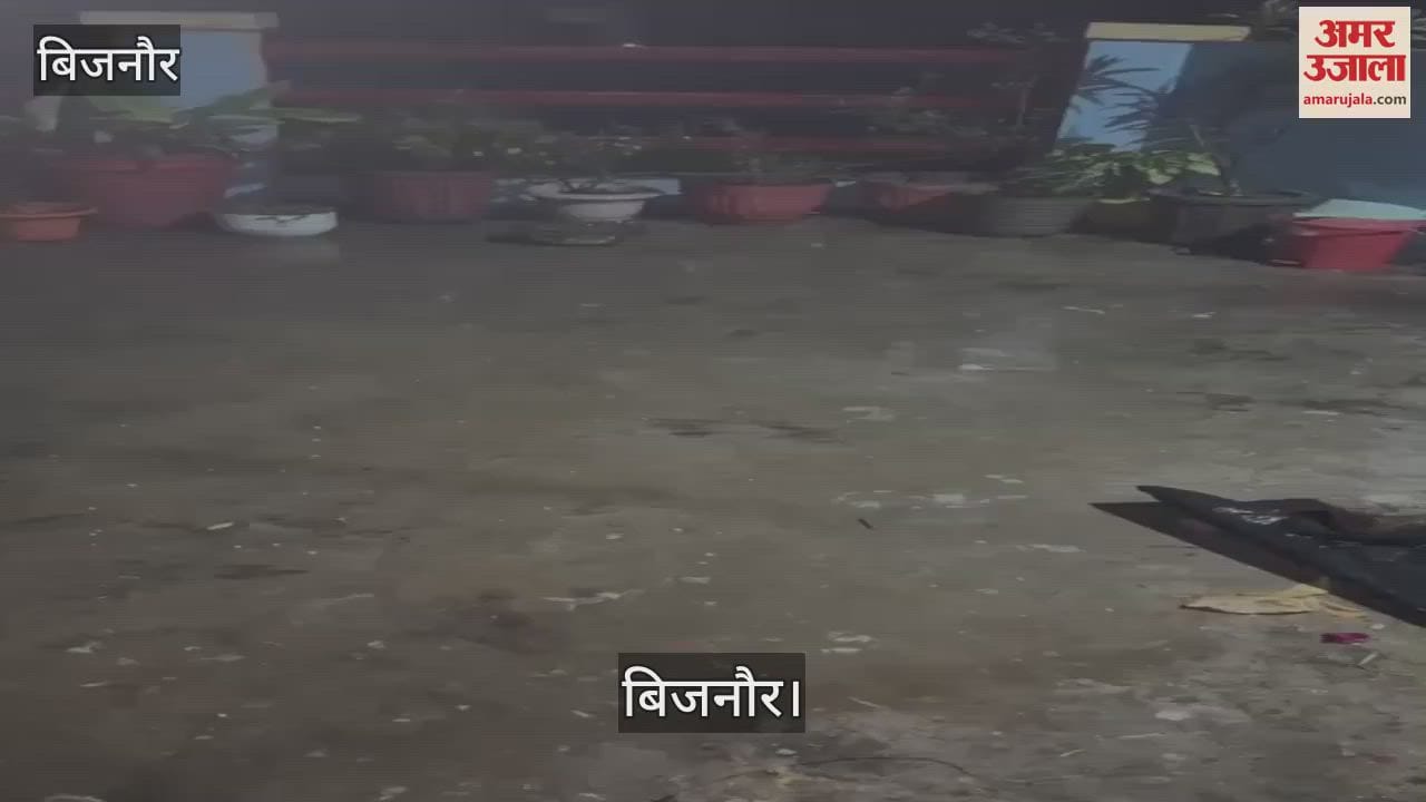 VIDEO : Heavy rain and hailstorm in Raja Ka Tajpur in Bijnor caused damage to wheat and mustard crops