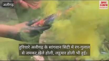 VIDEO : हुरियारे अलीगढ़ के सांगवान सिटी में रंग-गुलाल से जमकर खेले होली, लट्ठमार होली भी हुई
