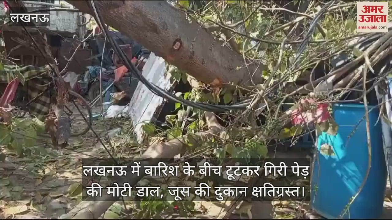 VIDEO : लखनऊ में बारिश के बीच टूटकर गिरी पेड़ की मोटी डाल, जूस की दुकान क्षतिग्रस्त