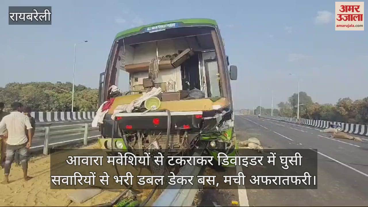 VIDEO : आवारा मवेशियों से टकराकर डिवाइडर में घुसी सवारियों से भरी डबल डेकर बस, मची अफरातफरी