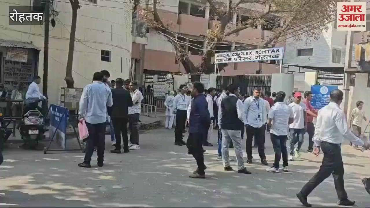 VIDEO : रोहतक जिला बार चुनाव, चार पदों के लिए हो रहा मतदान