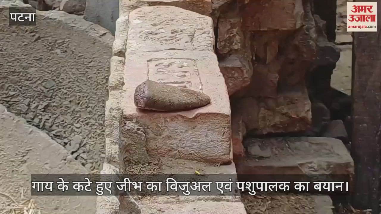 Bihar News Cruelty to pregnant cow in Rohtas