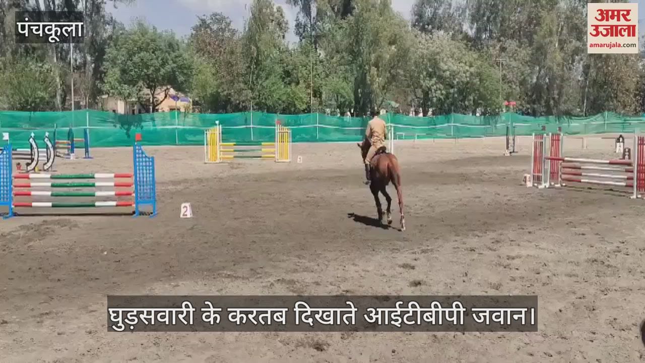 VIDEO : आईटीबीपी भानू में घुड़सवारी प्रतियोगिता, जवानों ने दिखाए घुड़सवारी के करतब