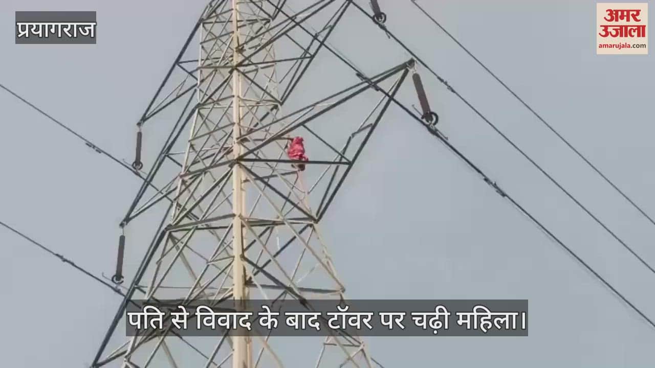 VIDEO : The woman climbed the tower and created a ruckus, the police saved the woman's life by risking their own