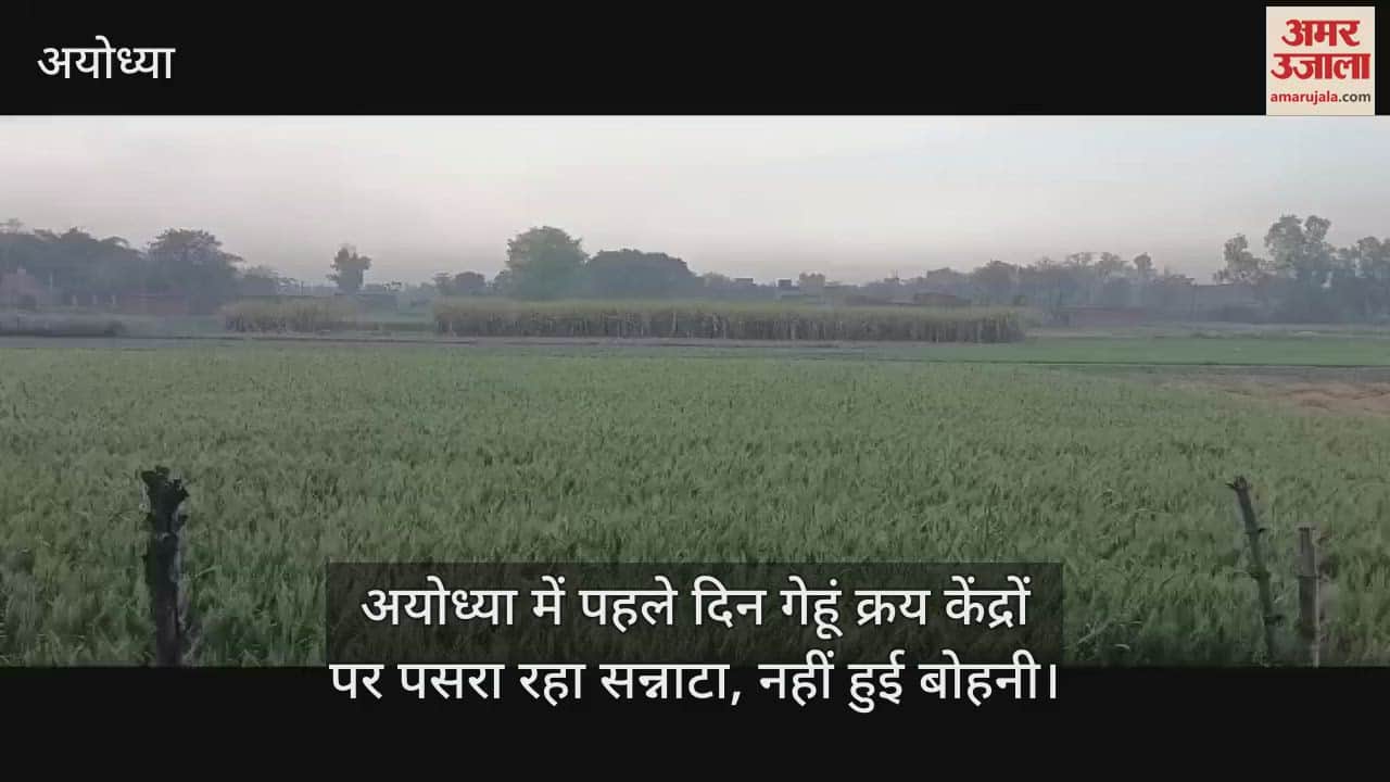 VIDEO : अयोध्या में पहले दिन गेहूं क्रय केंद्रों पर पसरा रहा सन्नाटा, नहीं हुई बोहनी