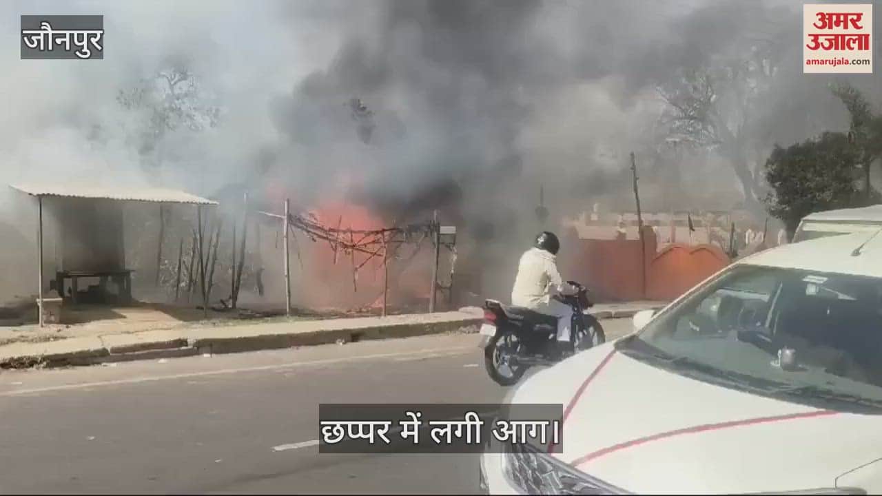 VIDEO : Four cattle burnt to death in Jaunpur one dead panic due to fire in thatched roof