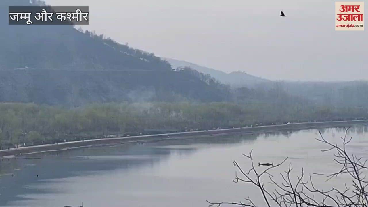 VIDEO : IED recovered in Bandipora, North Kashmir, security forces destroyed it in time