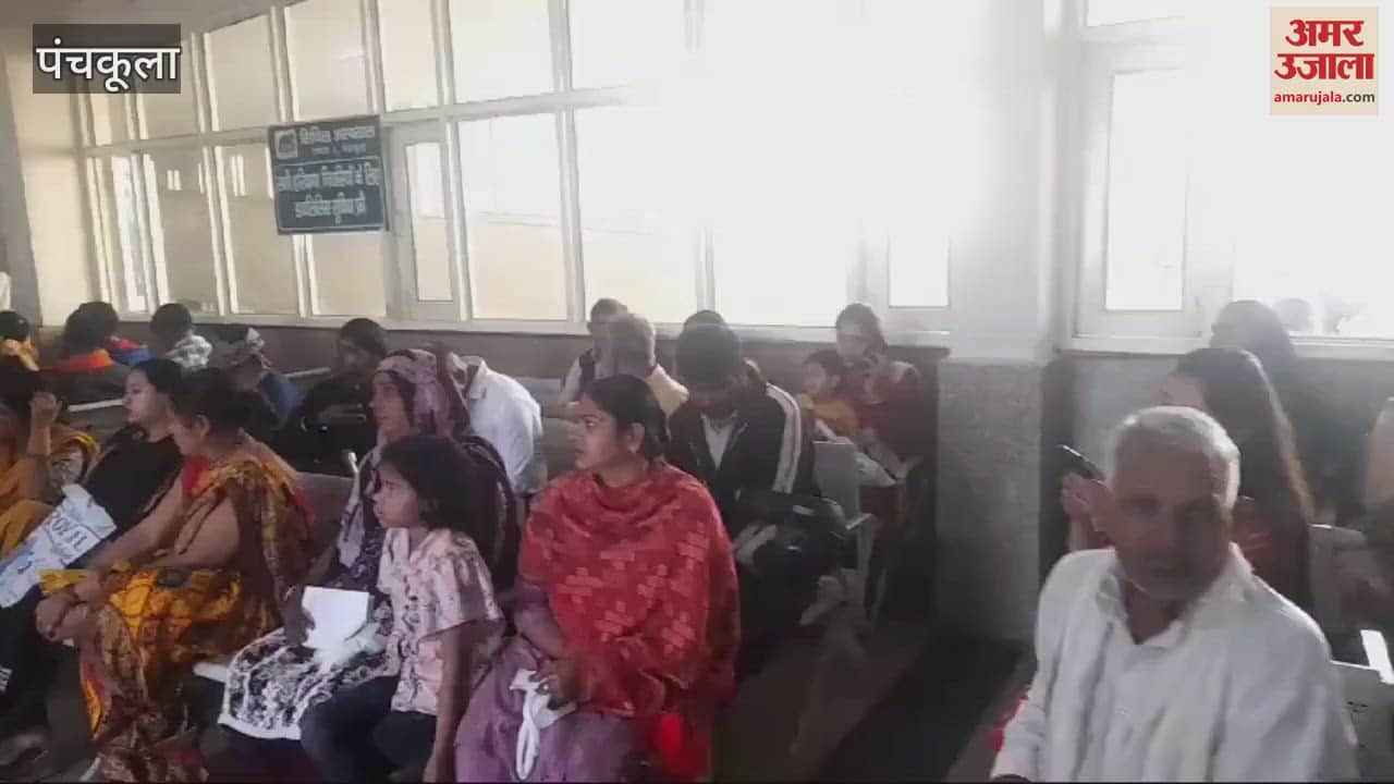 VIDEO : Server got fixed in Panchkula Civil Hospital, long queues started