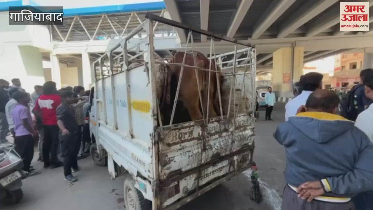 VIDEO : मिनी ट्रक में लदे गोवंश को देख भड़के  हिंदू संगठनों के कार्यकर्ता