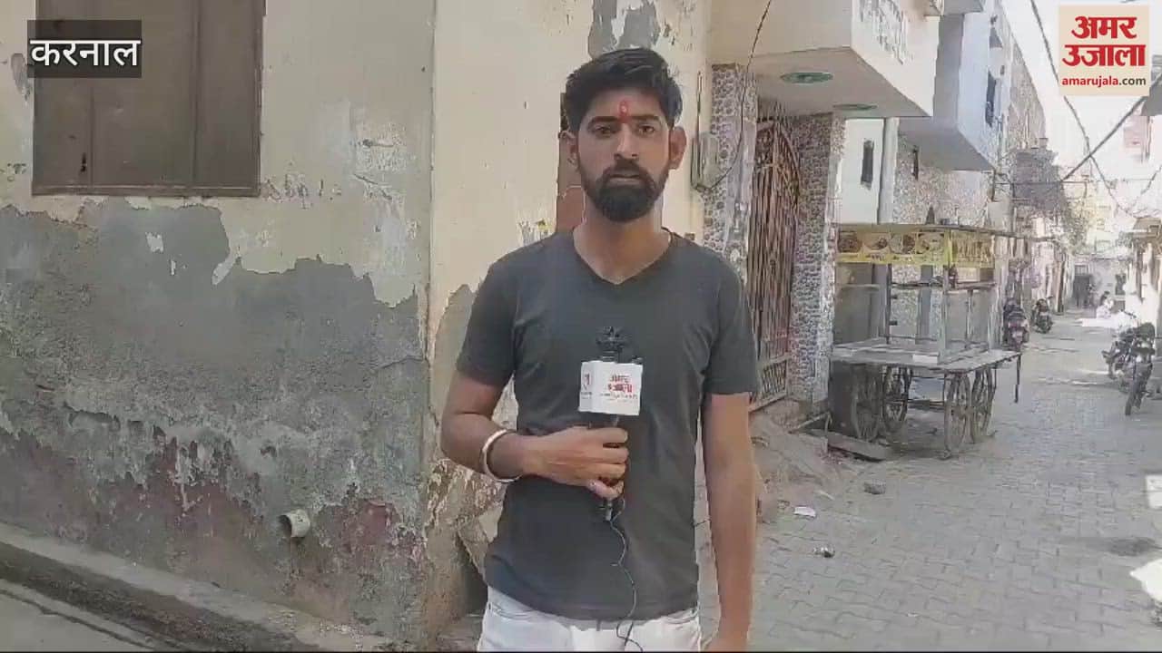 VIDEO : Sparrows got a new home, 'Sparrow Enclave' settled in Shyam Nagar, Karnal