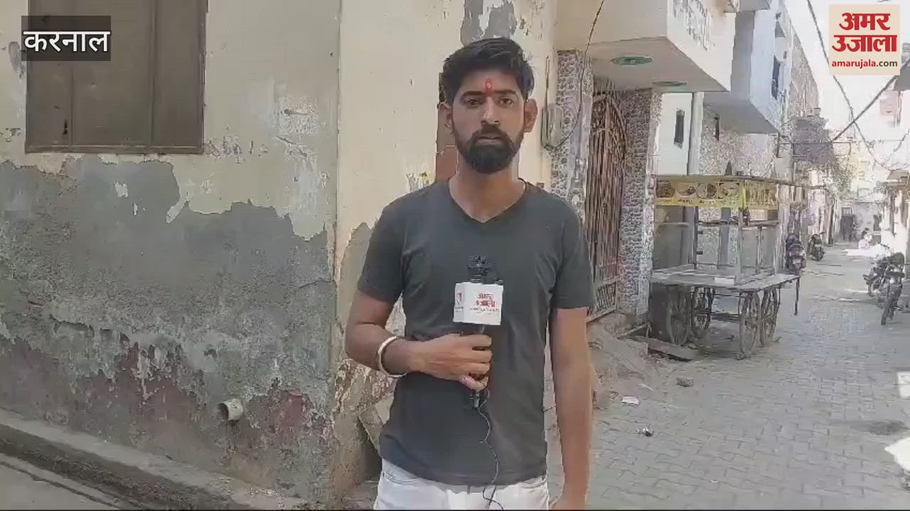 VIDEO : Sparrows got a new home, 'Sparrow Enclave' settled in Shyam Nagar, Karnal