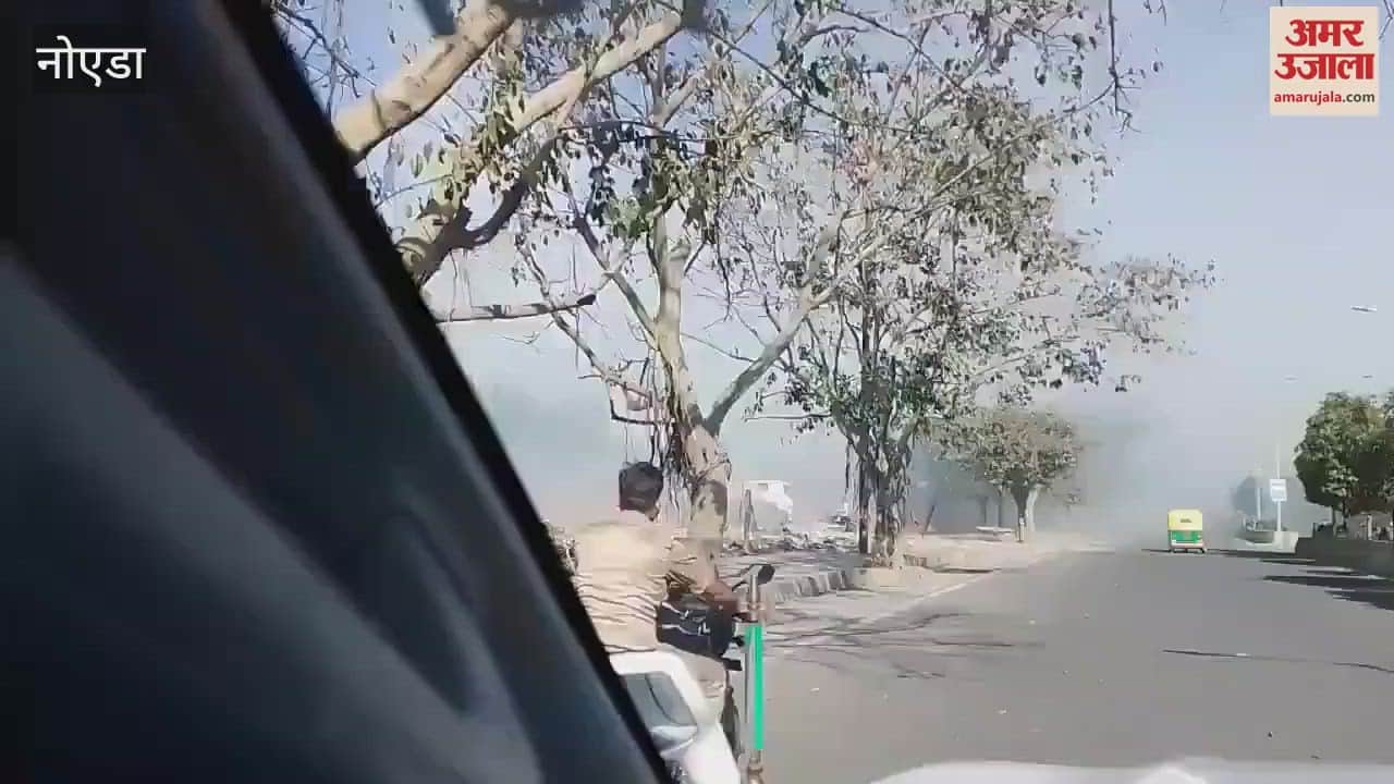 VIDEO : Fire breaks out in forest of Noida Sector 42