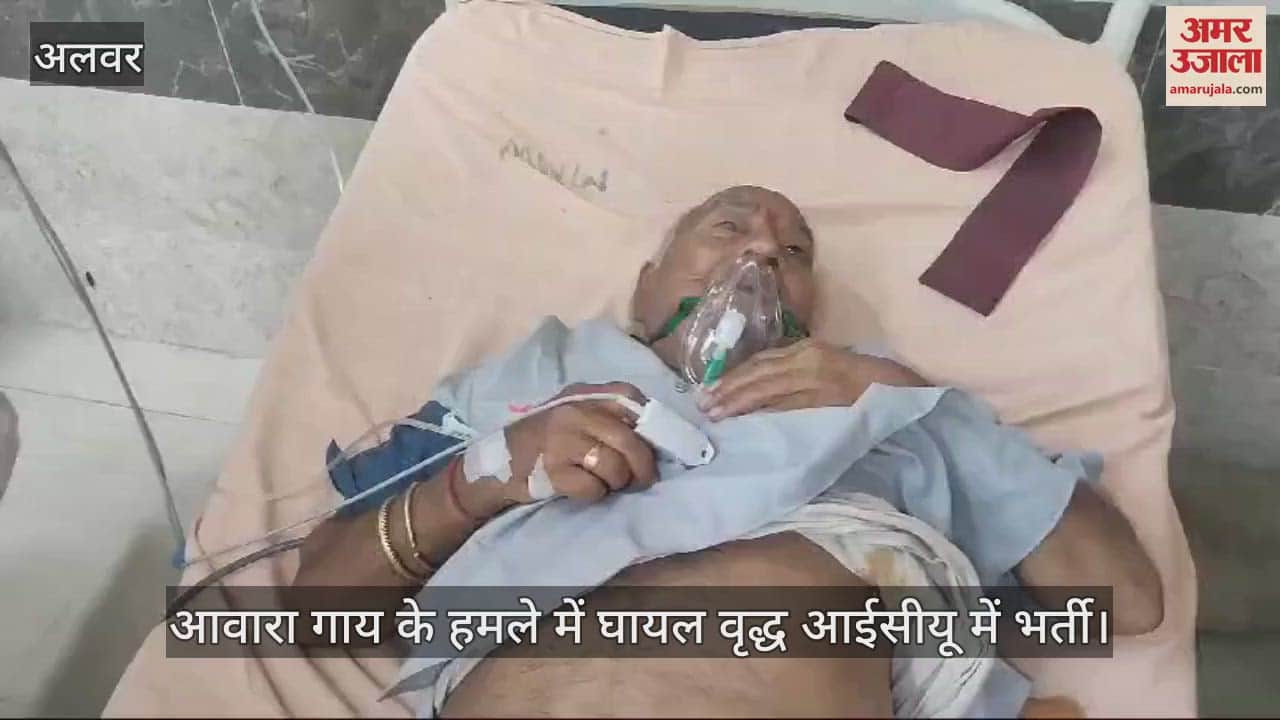 People troubled by street dogs are now troubled by stray cows